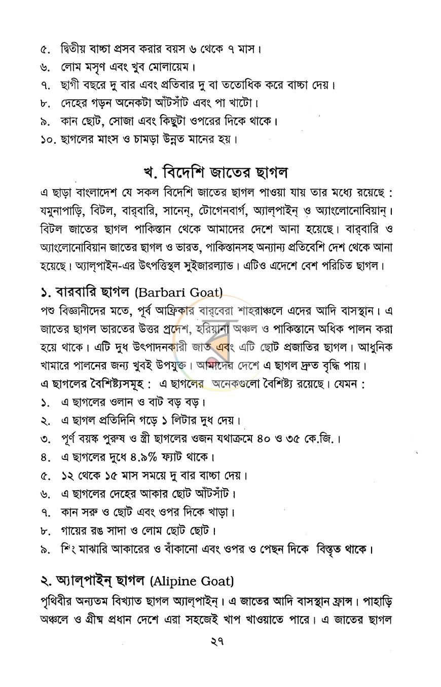 পাতা 10