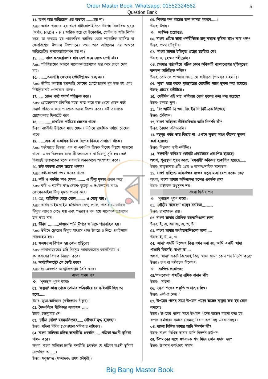 পাতা 13