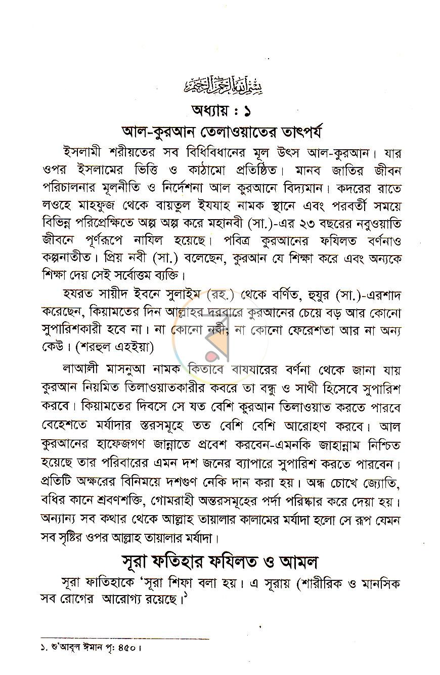 পাতা 11
