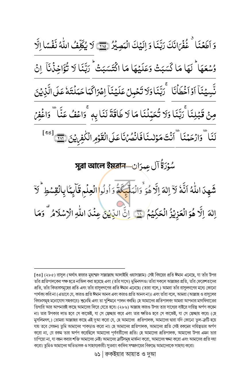 পাতা 19