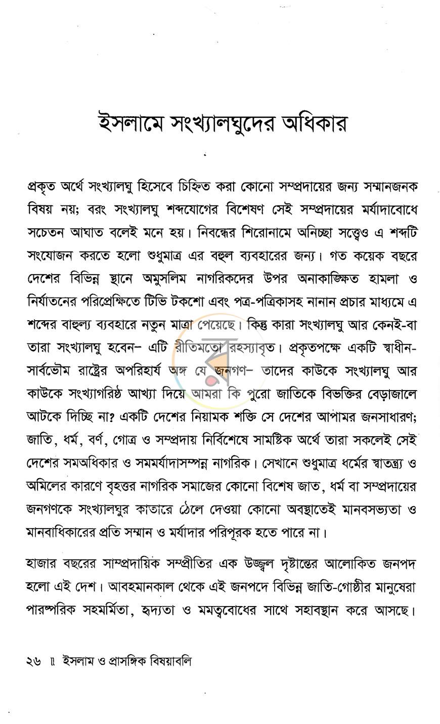 পাতা 13