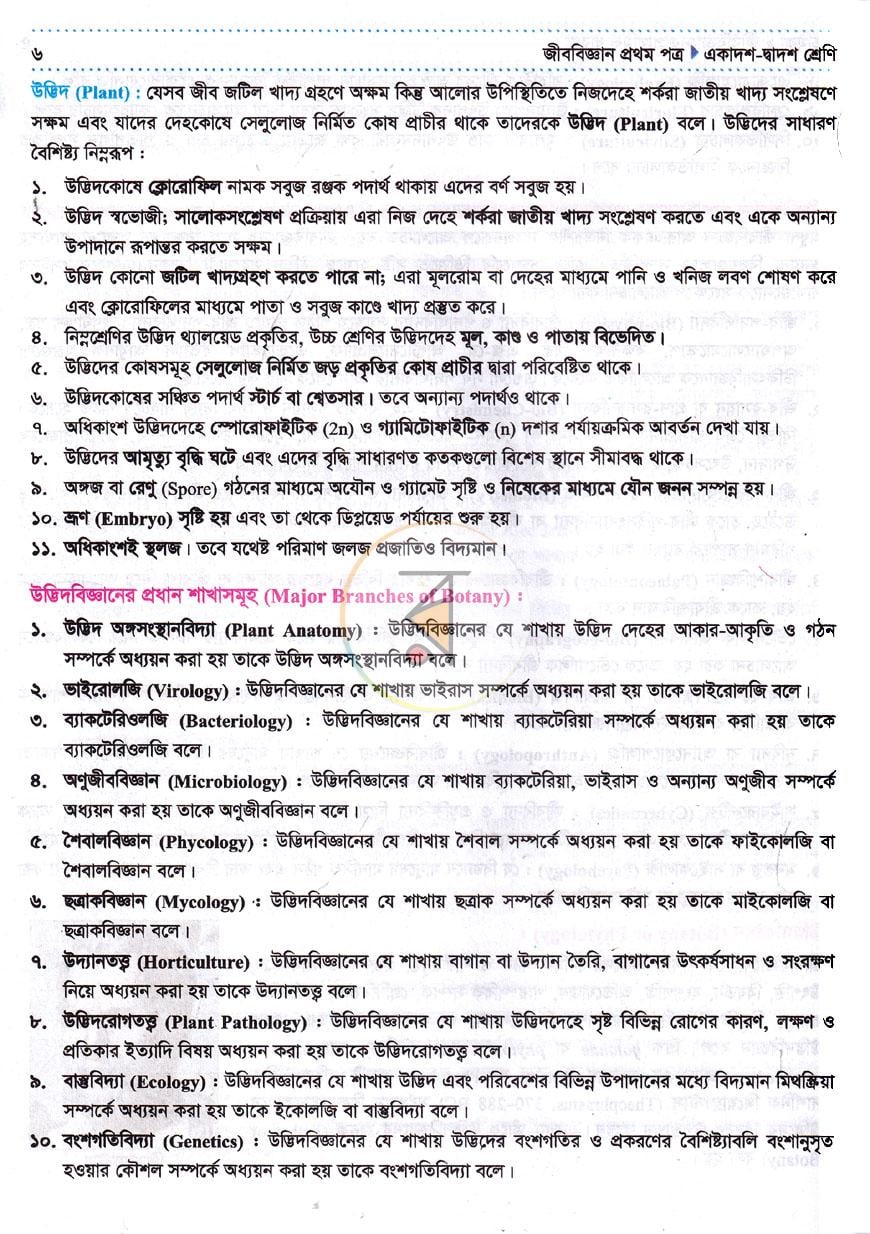 পাতা 11