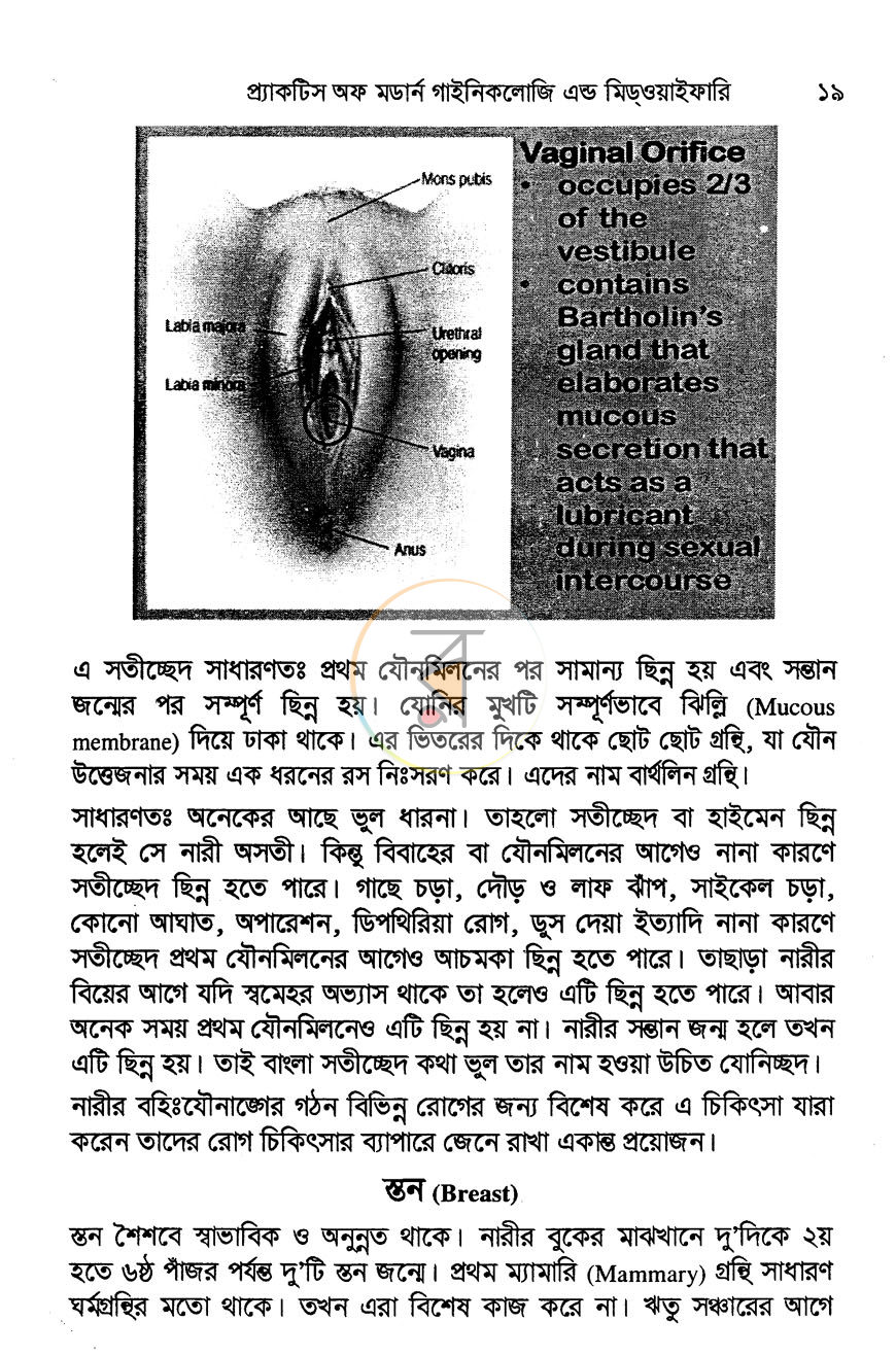 পাতা 8