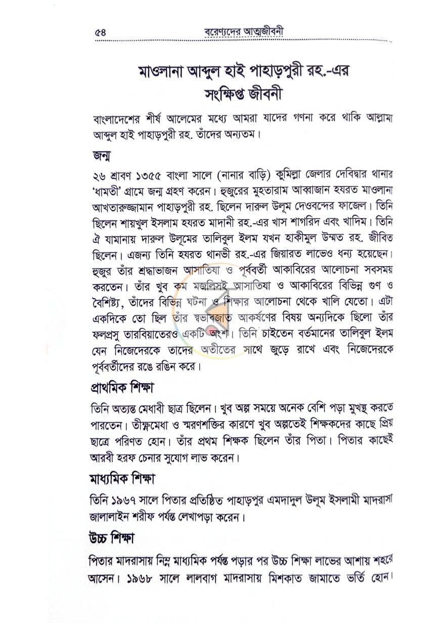 পাতা 13