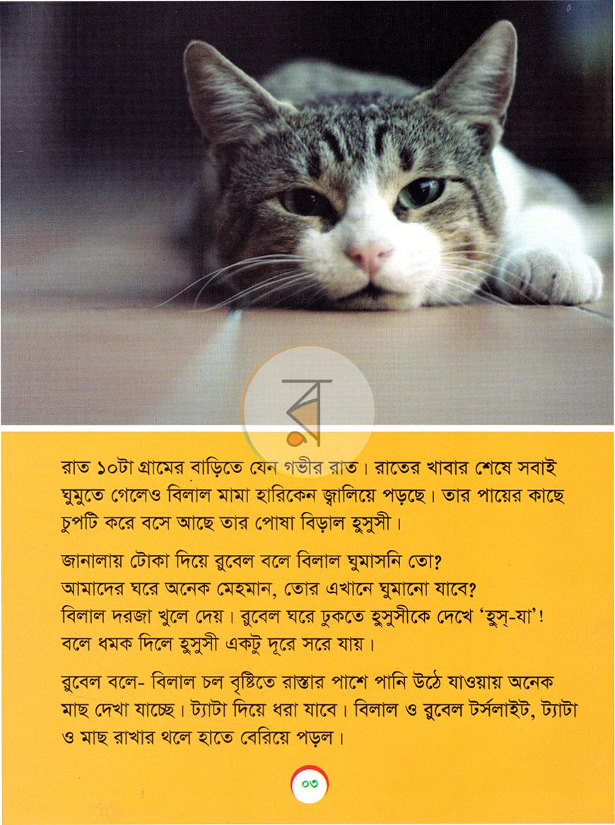 পাতা 3