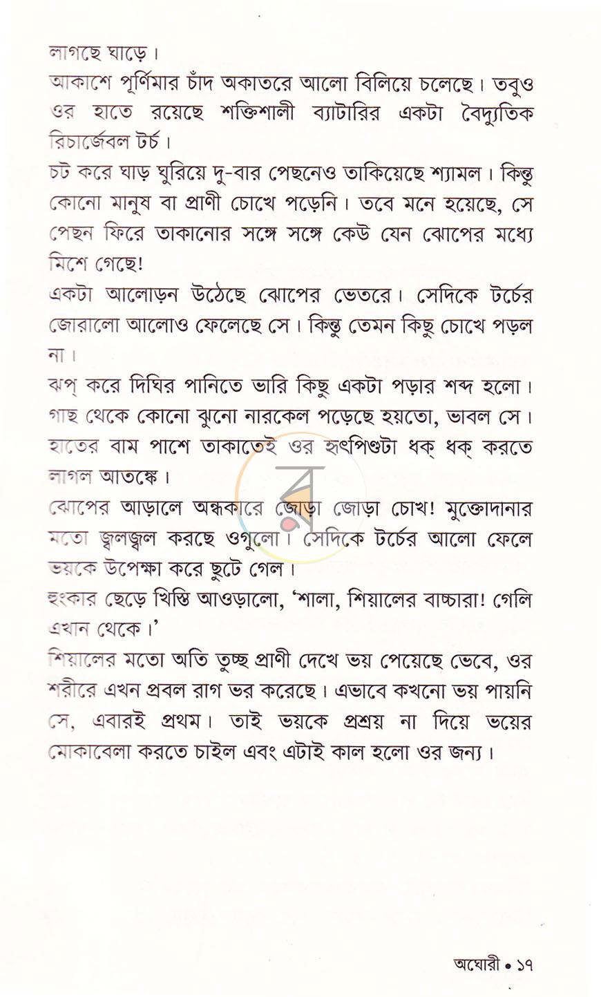 পাতা 13