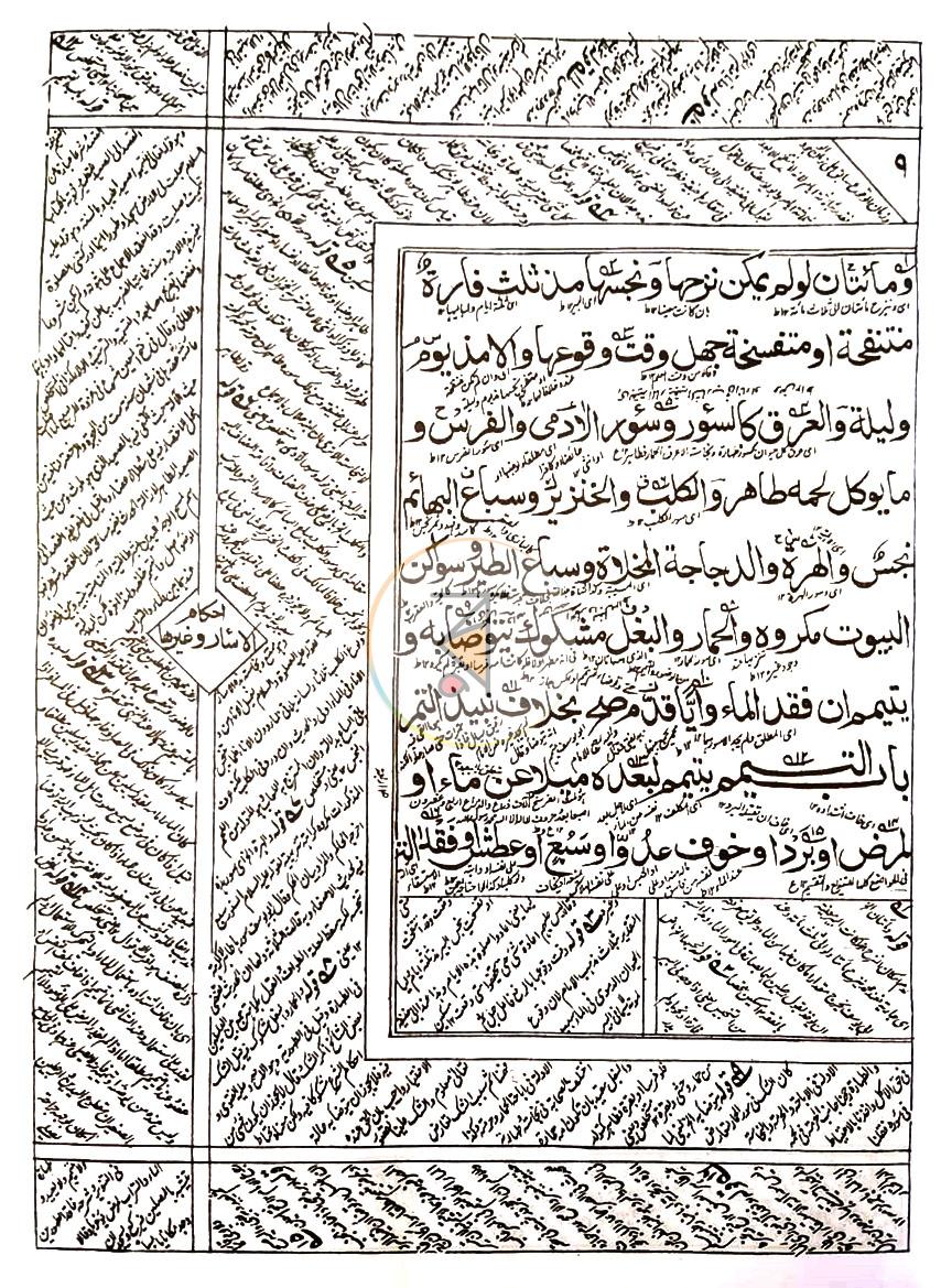 পাতা 7