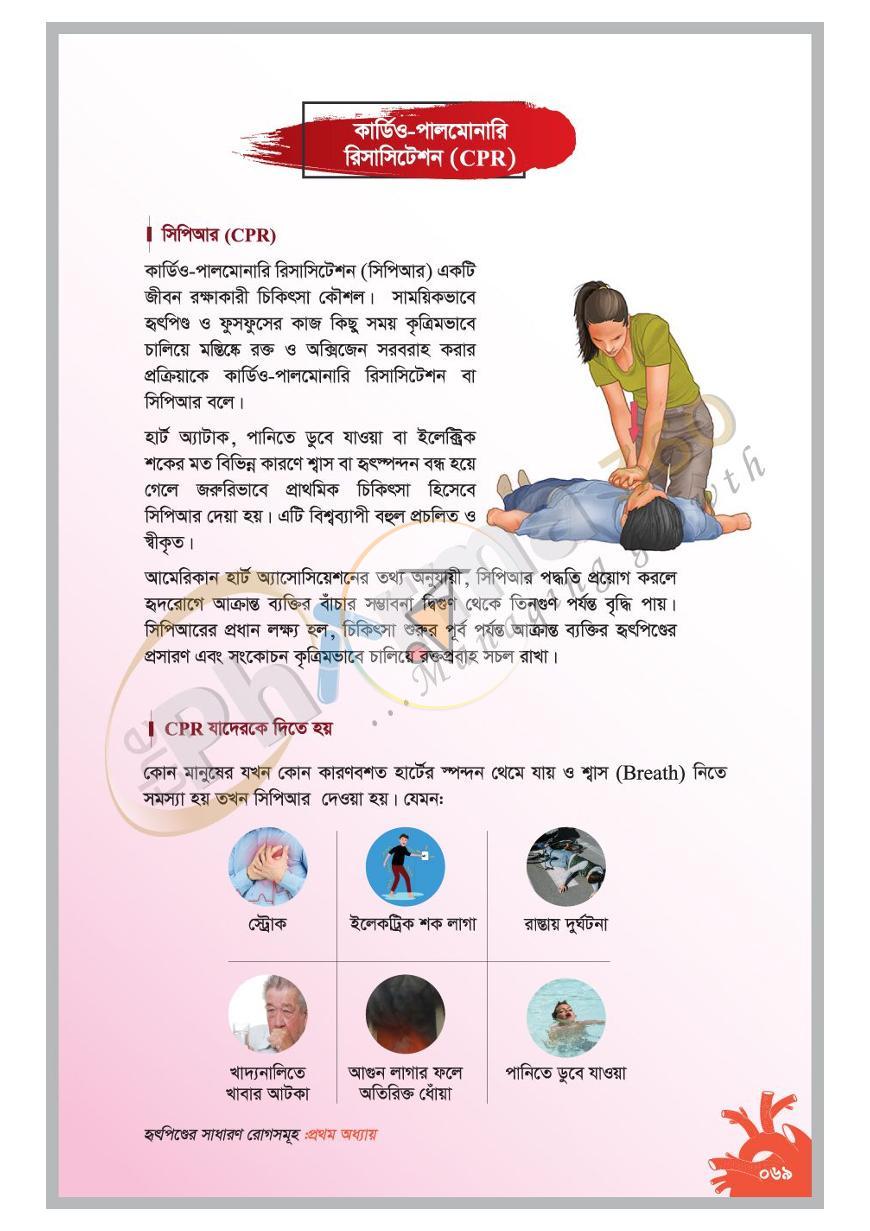 পাতা 13