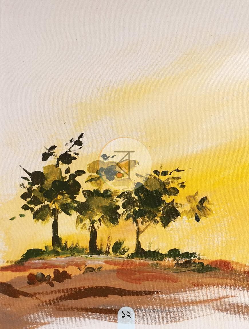পাতা 11