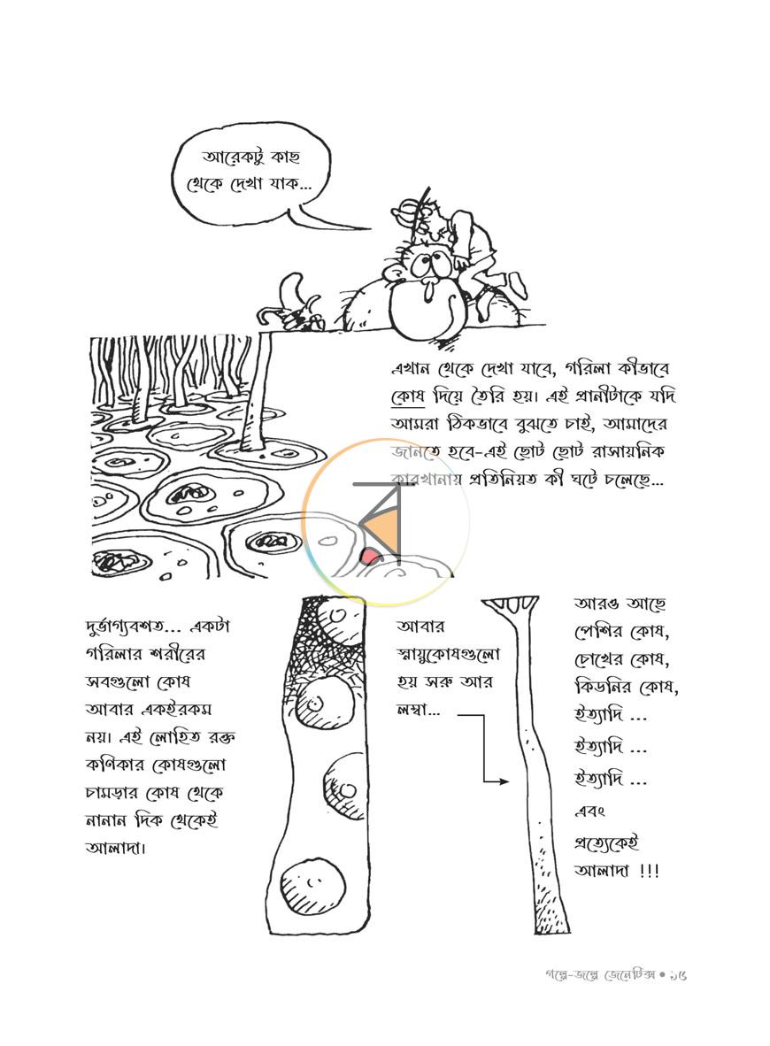 পাতা 26