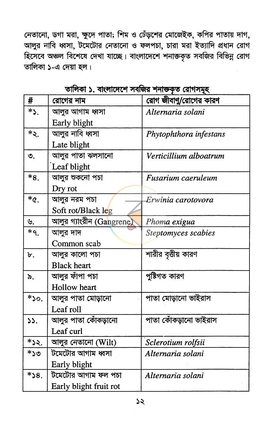 পাতা 10