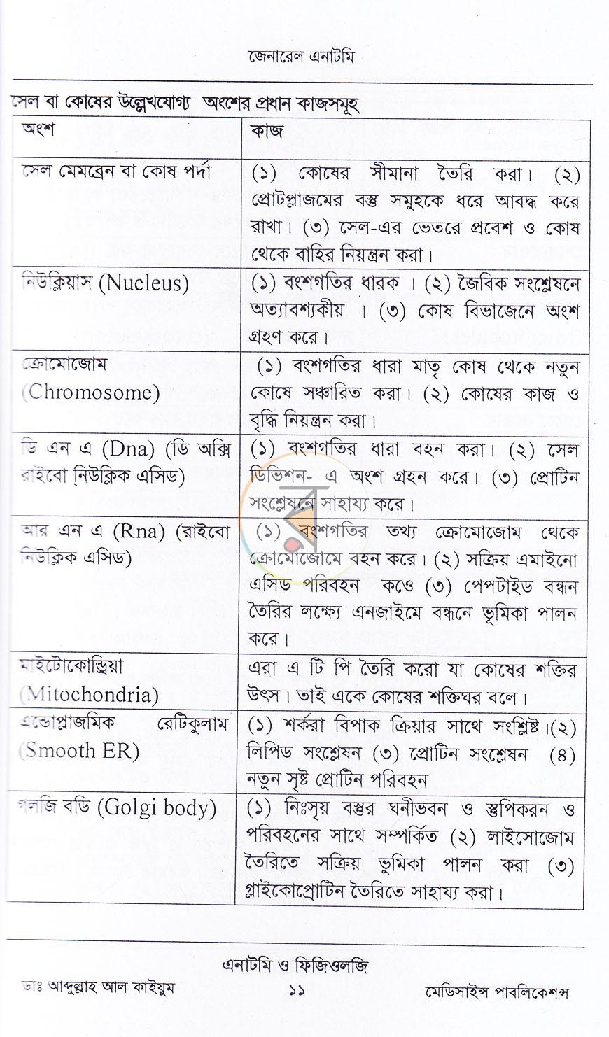 পাতা 8