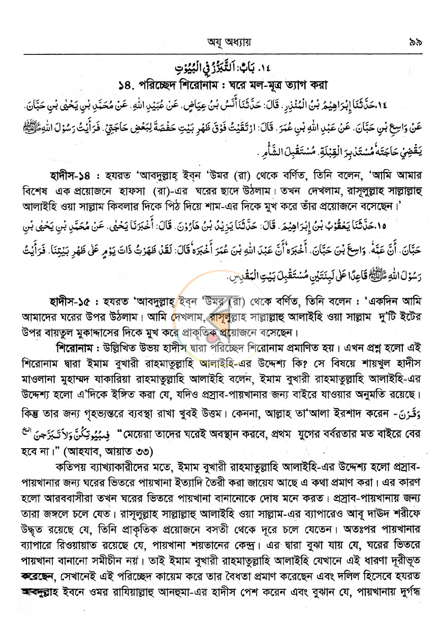 পাতা 12