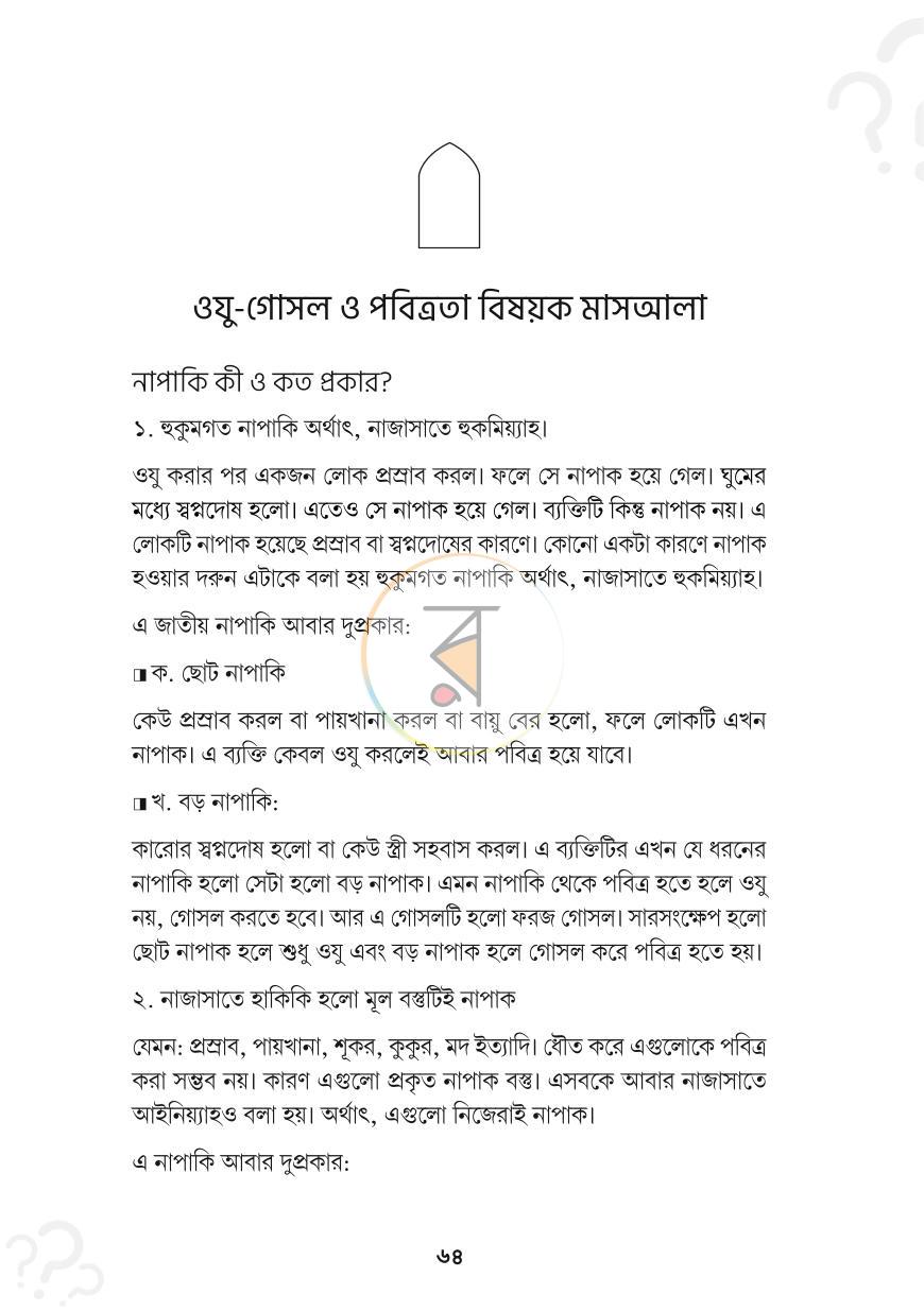 পাতা 13