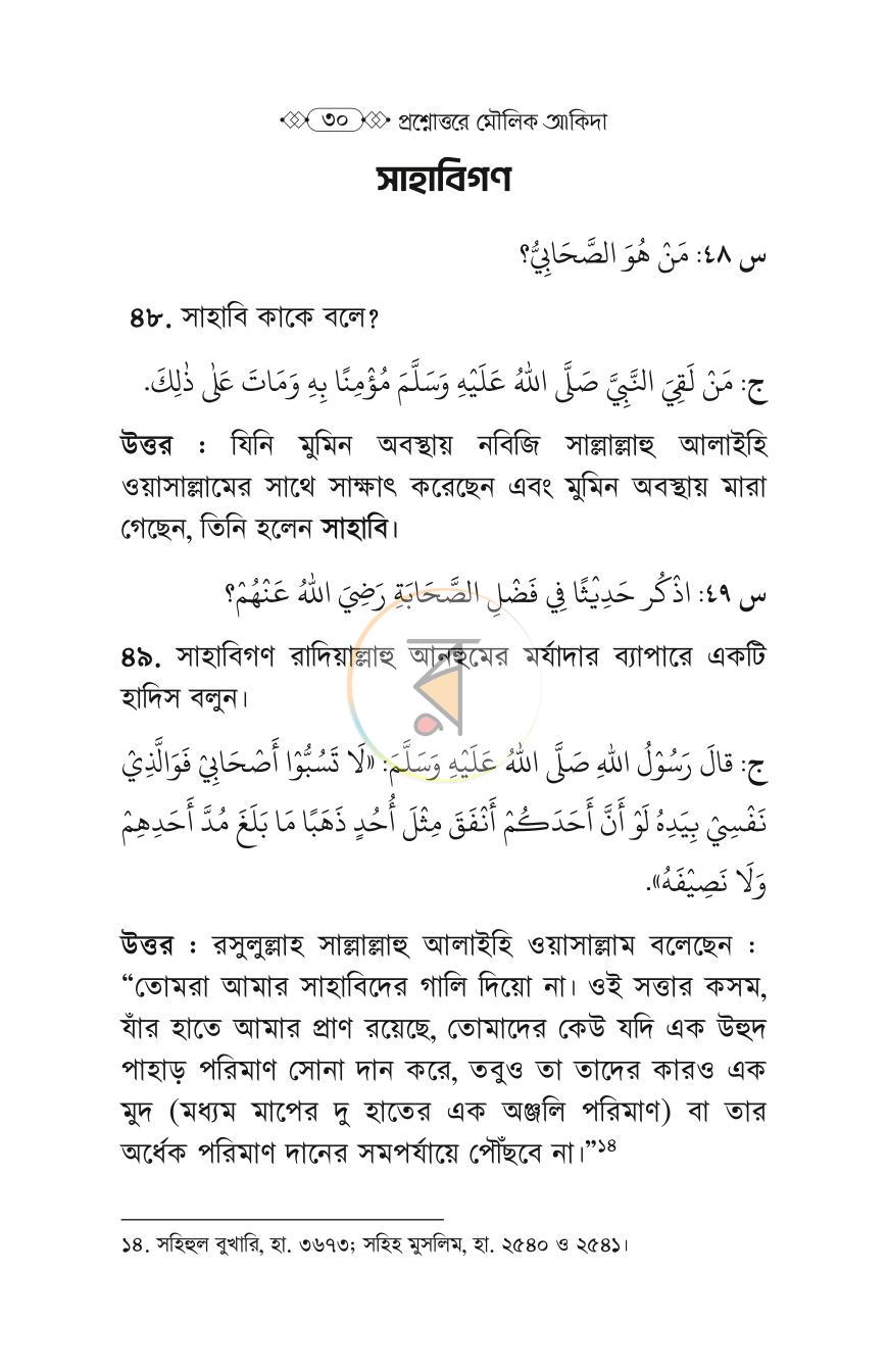 পাতা 13