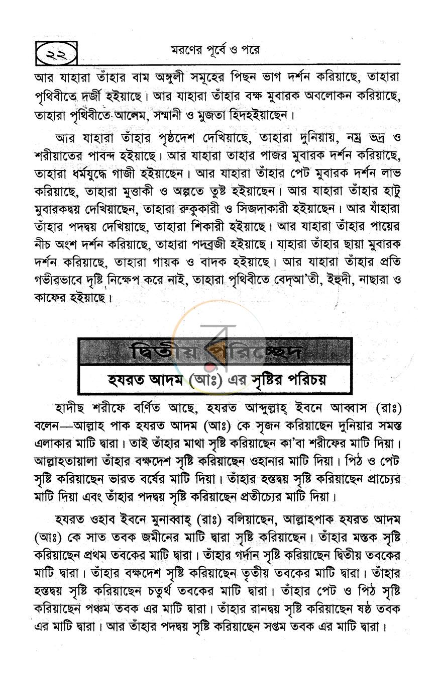 পাতা 11