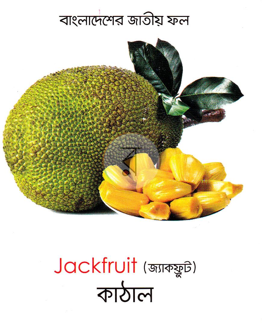 পাতা 1