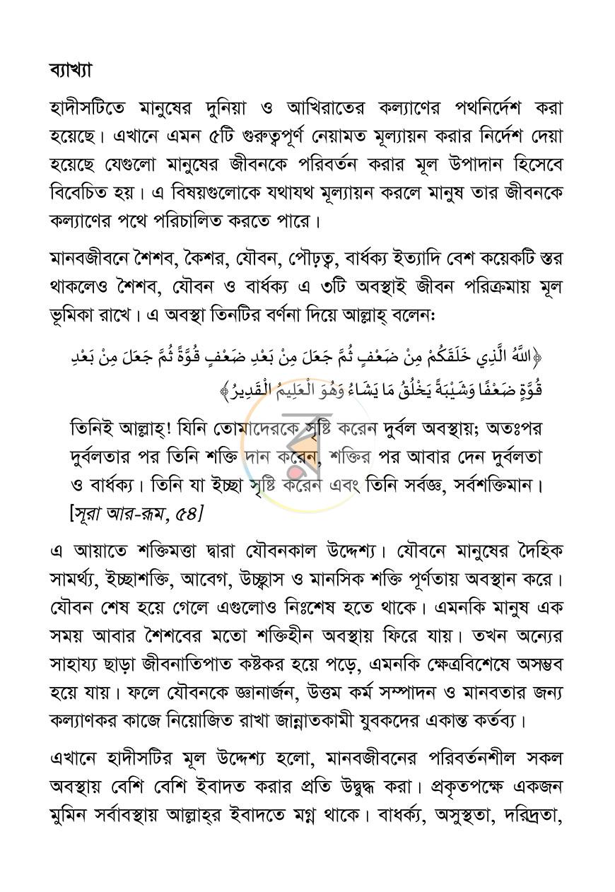 পাতা 13
