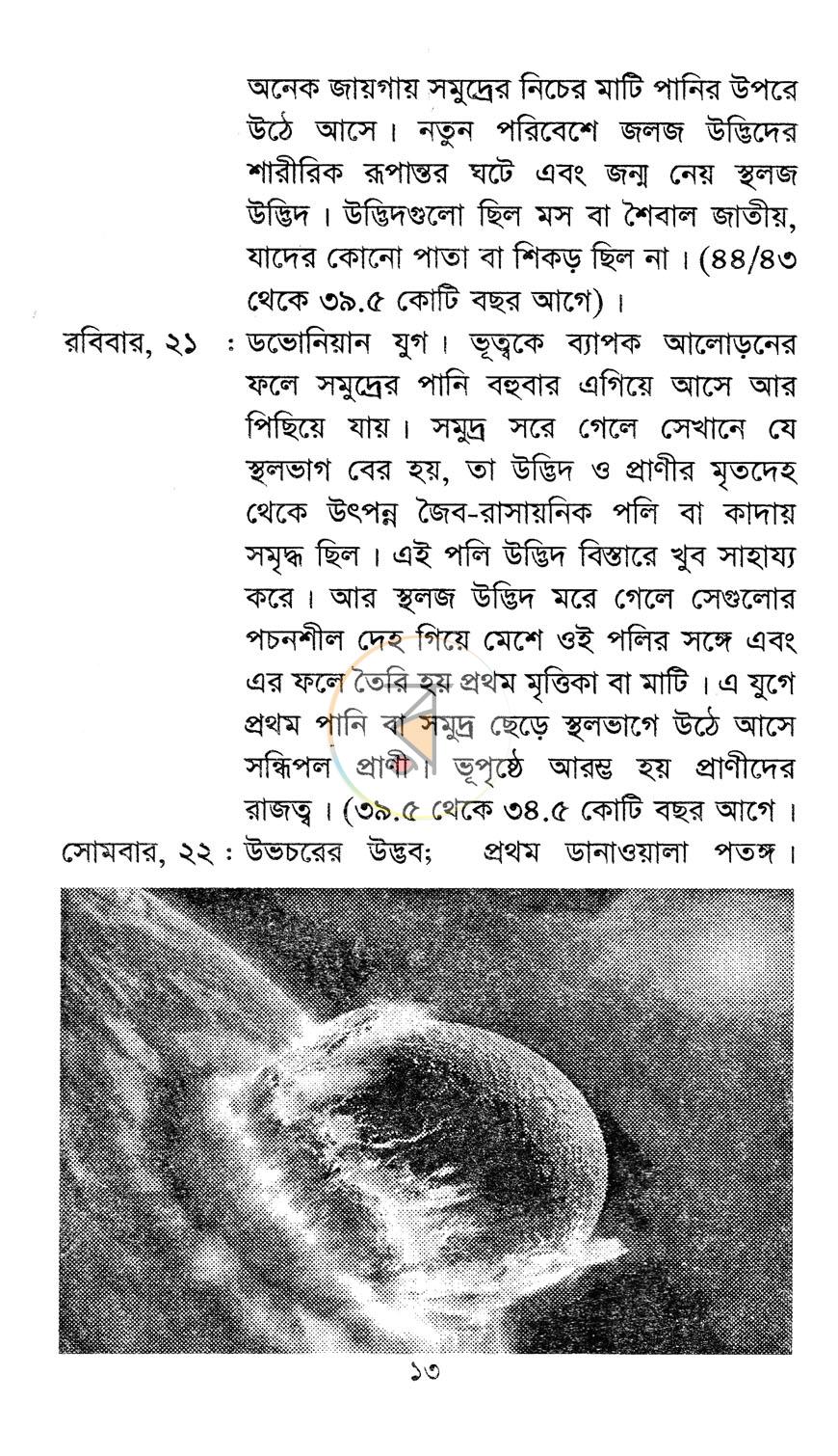 পাতা 9