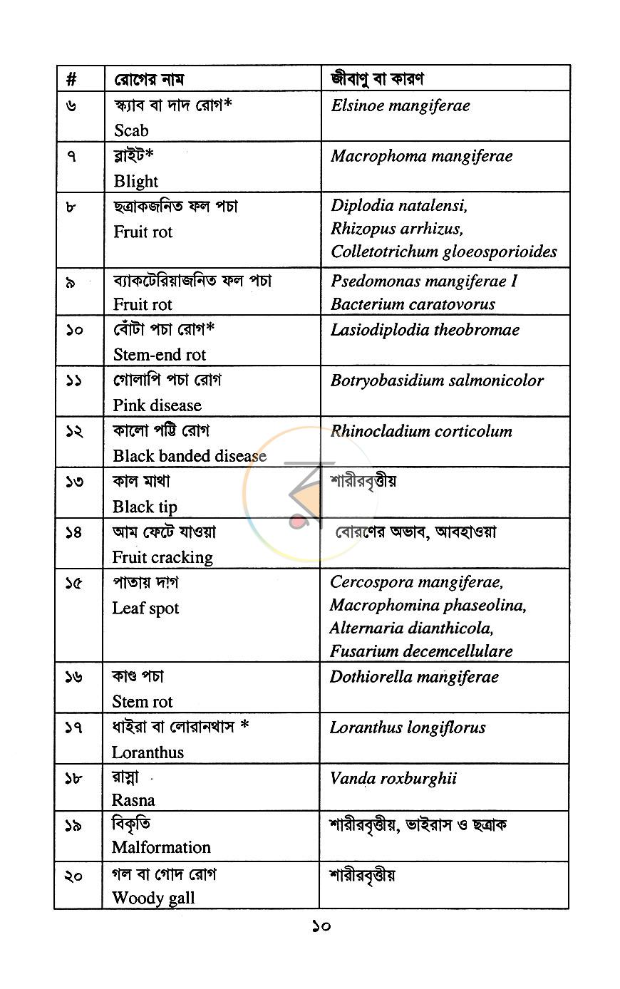পাতা 8