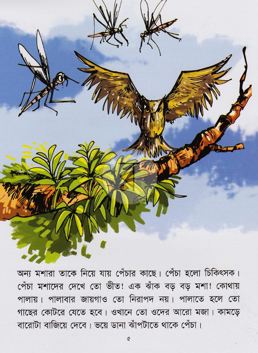 পাতা 6