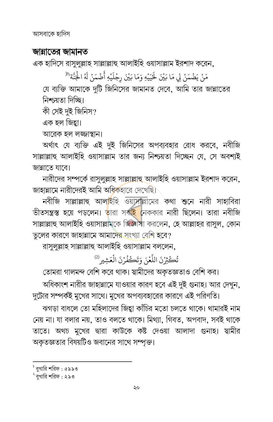 পাতা 13
