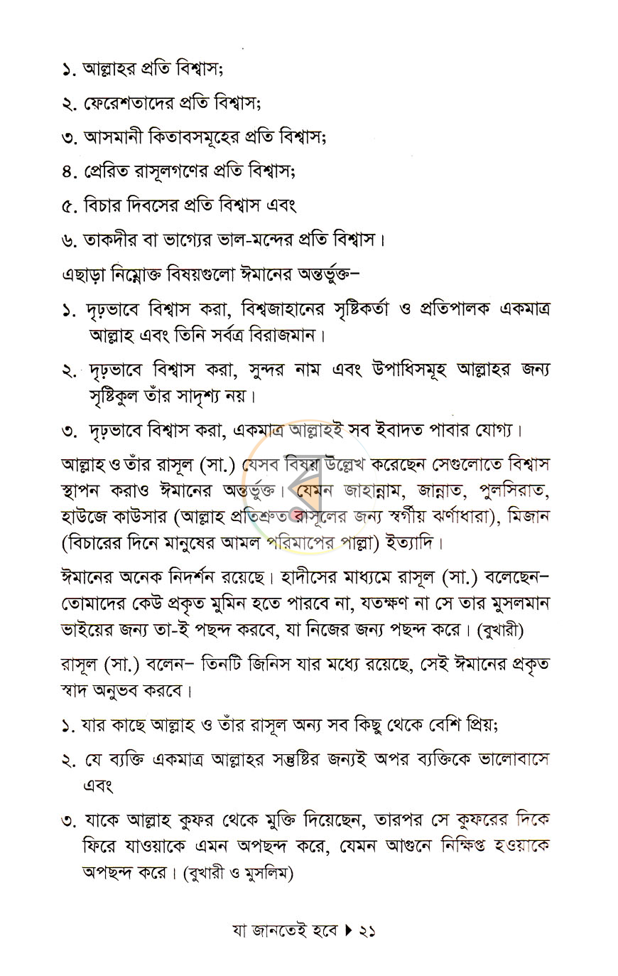 পাতা 11