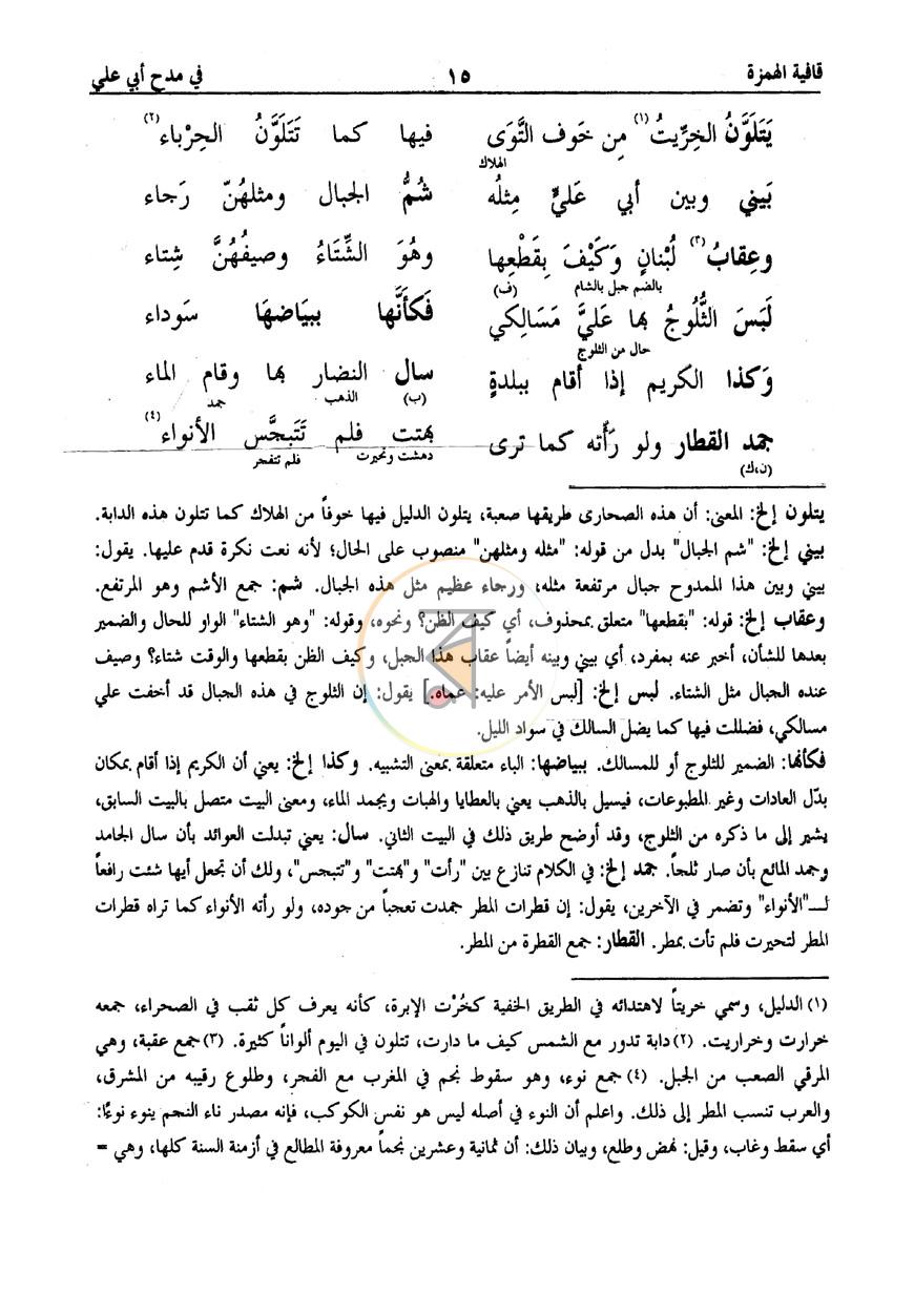 পাতা 13