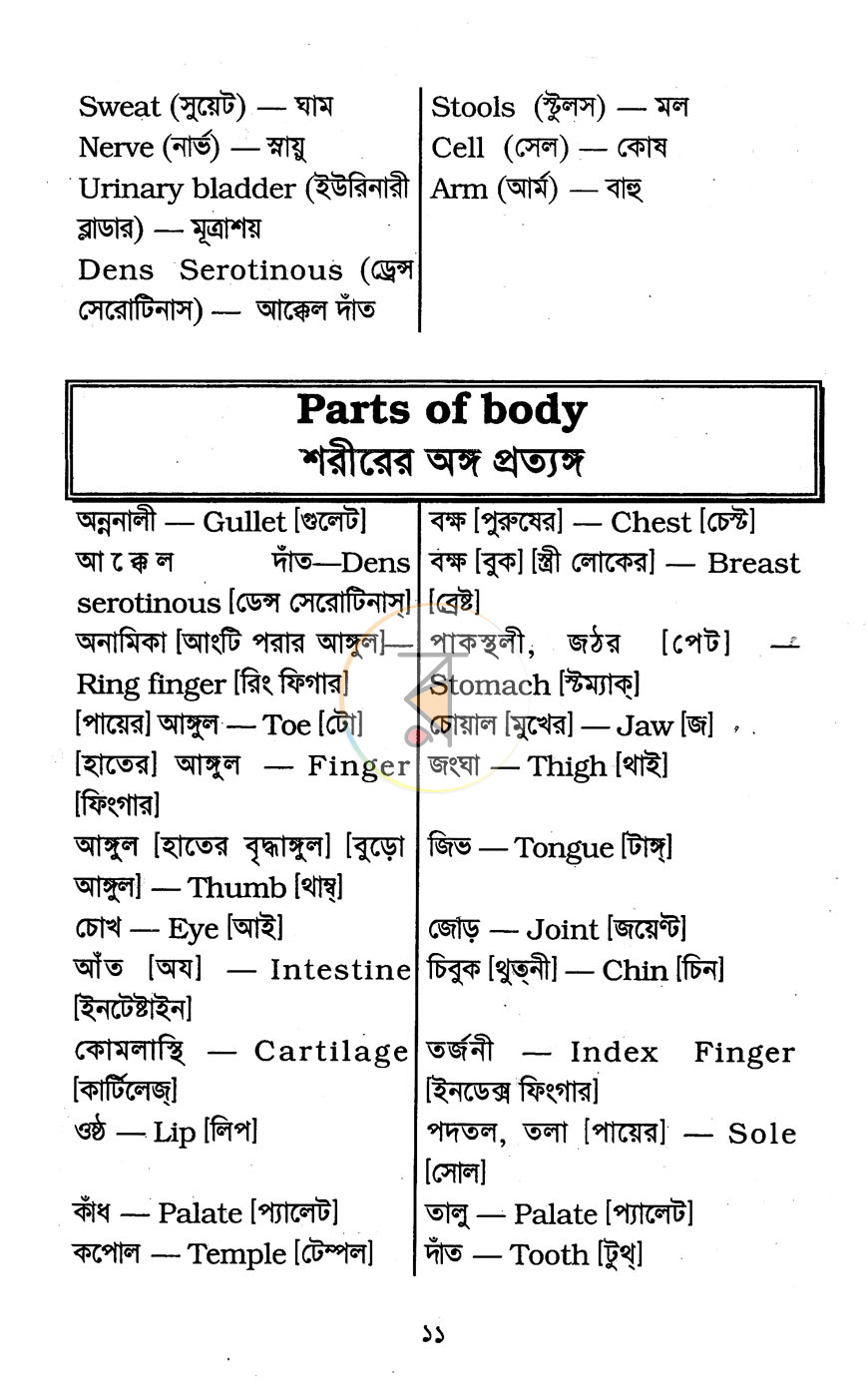 পাতা 7