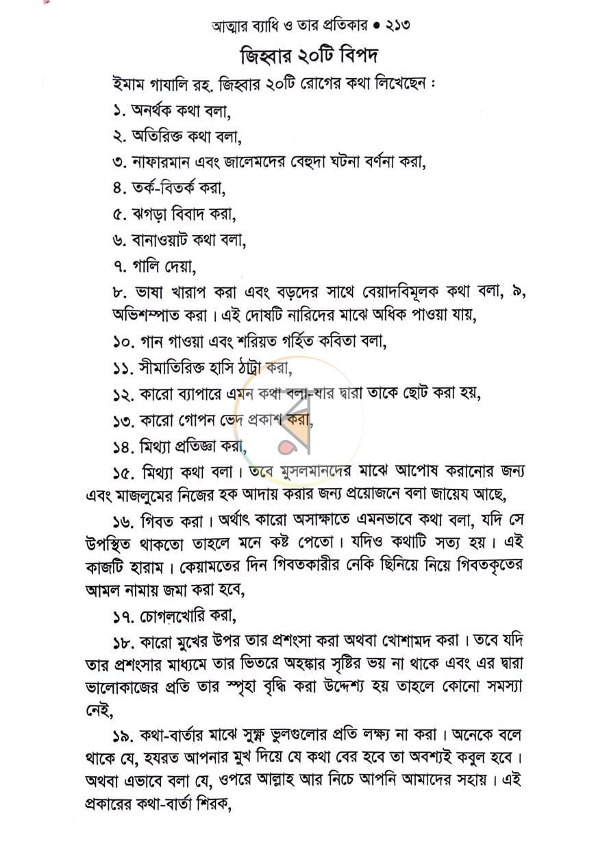 পাতা 13