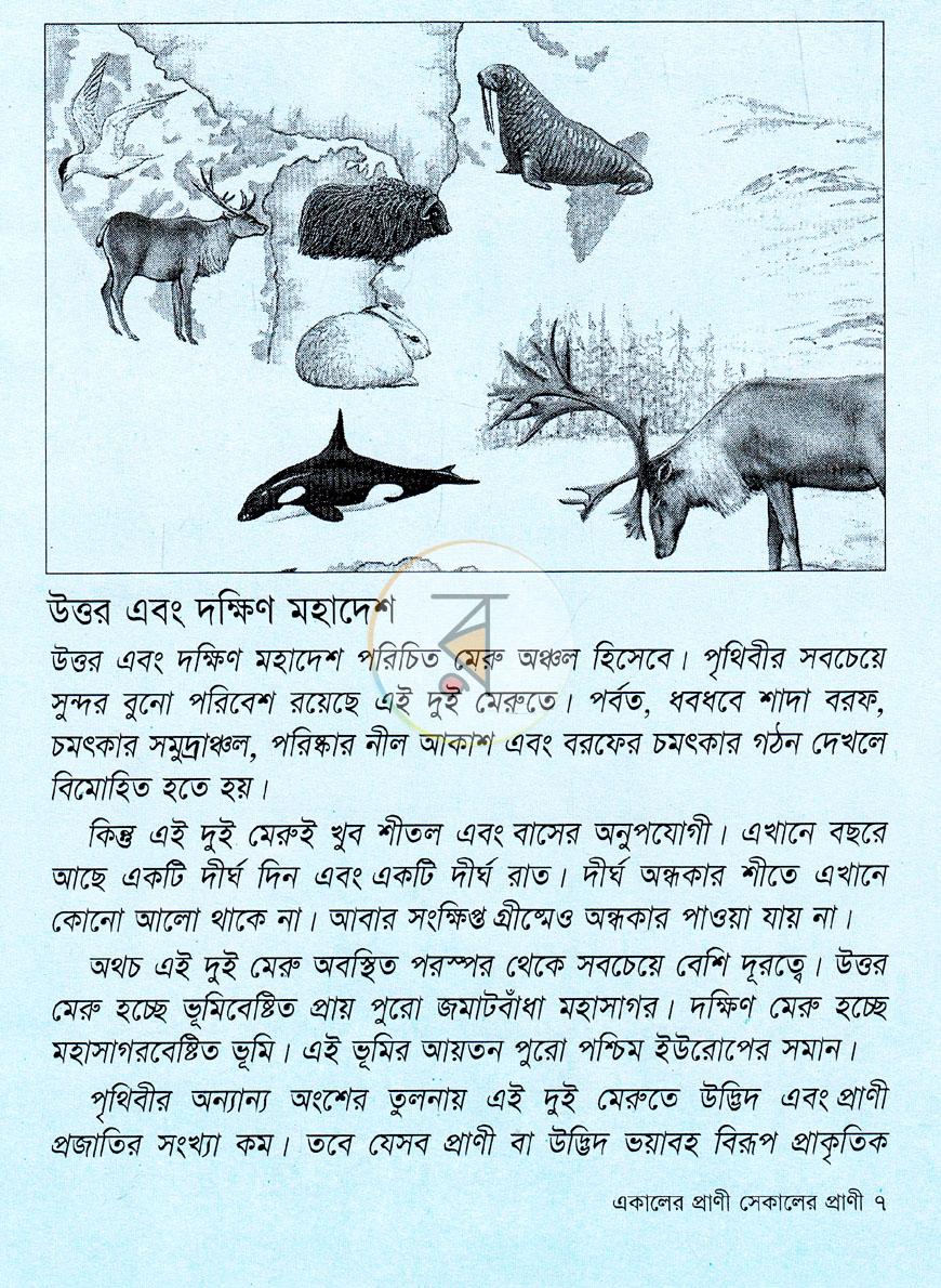 পাতা 5