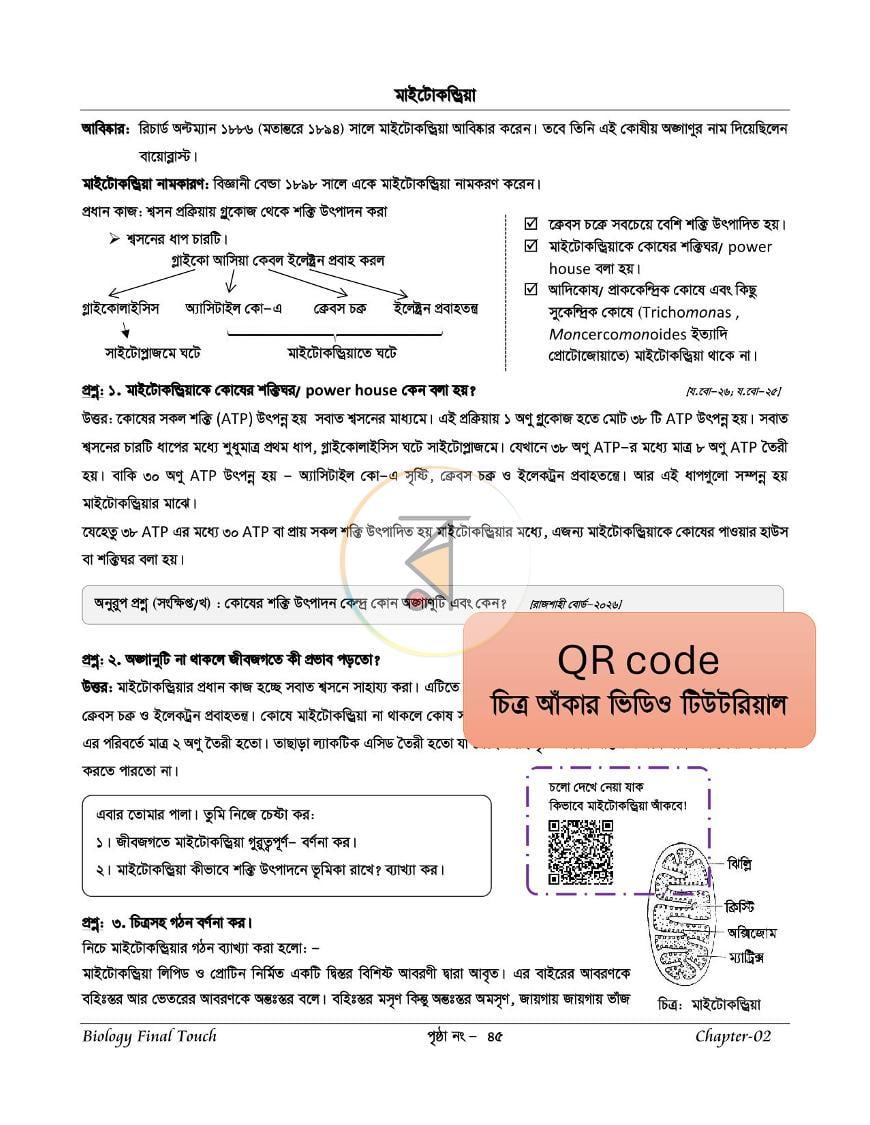 পাতা 16