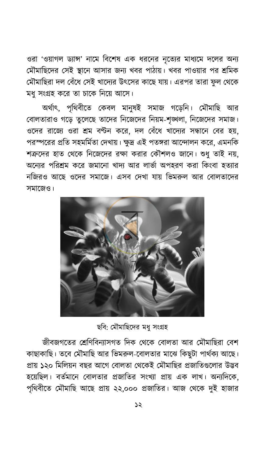 পাতা 4