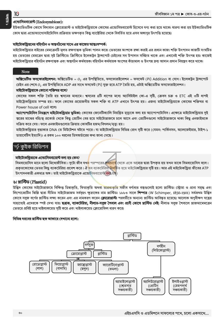 পাতা 26