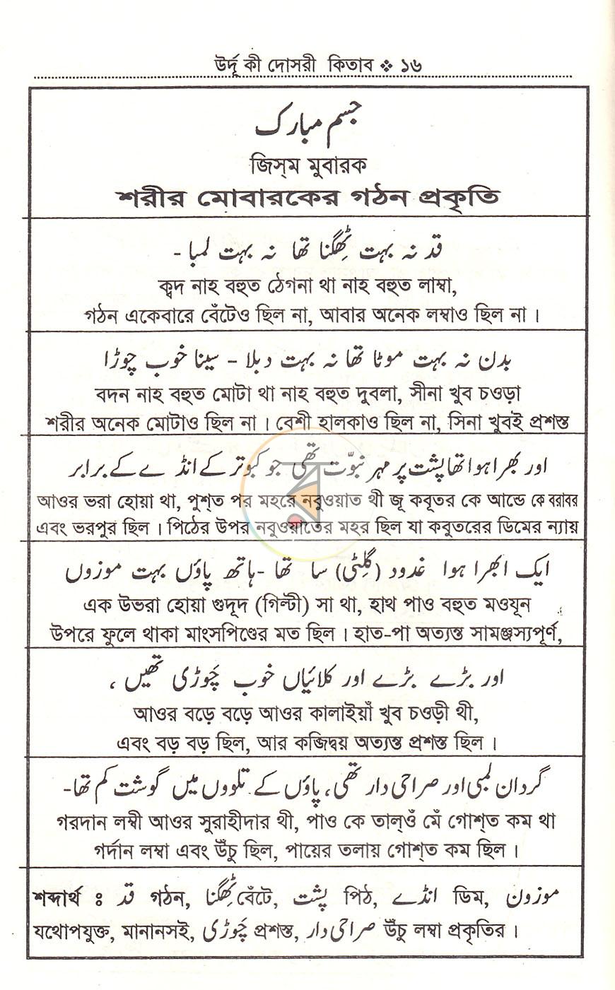 পাতা 10