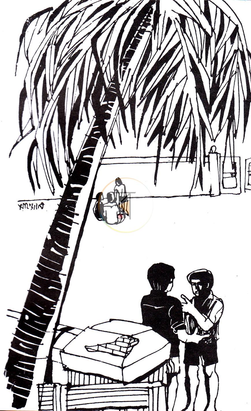 পাতা 7