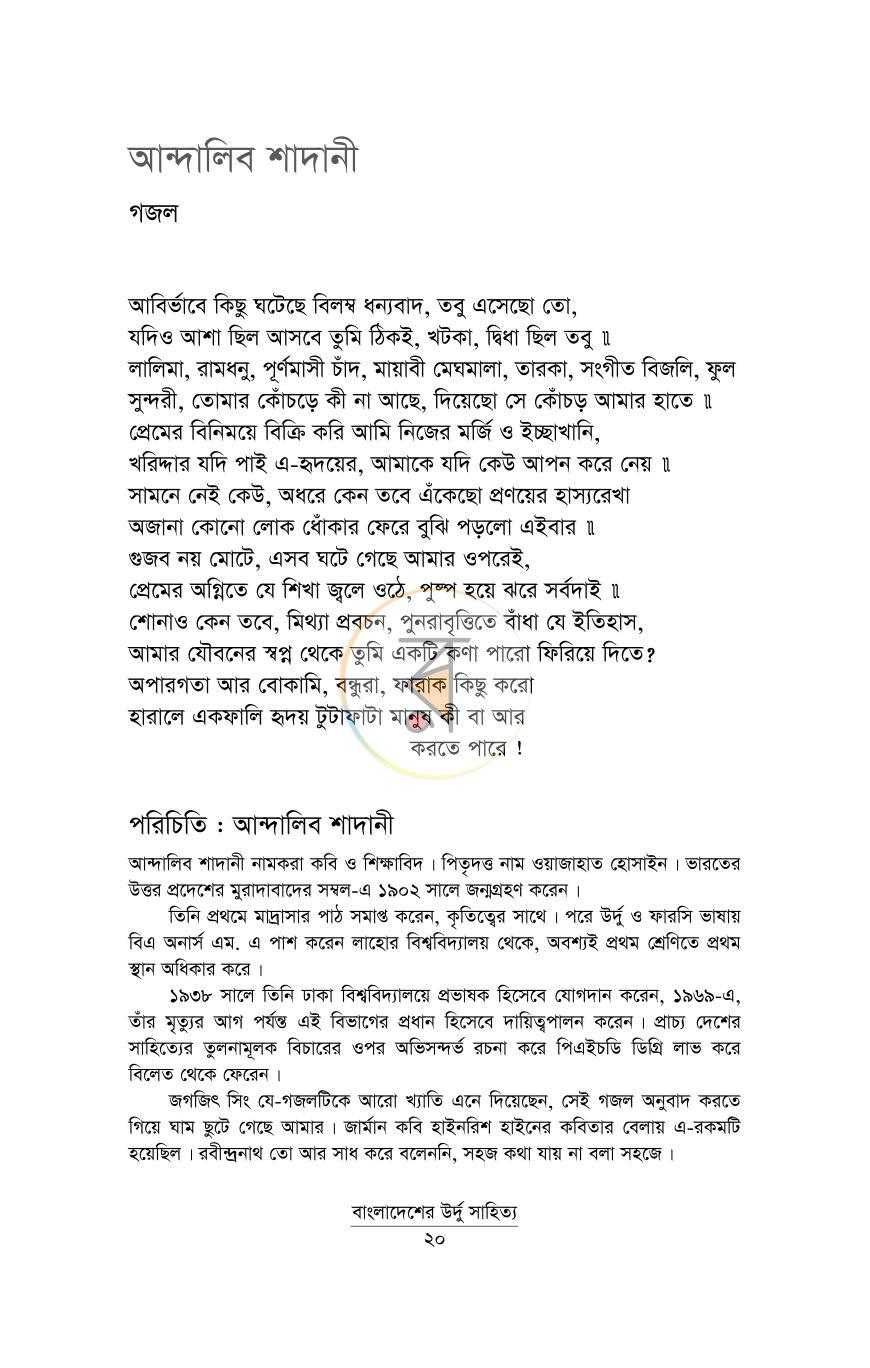 পাতা 13
