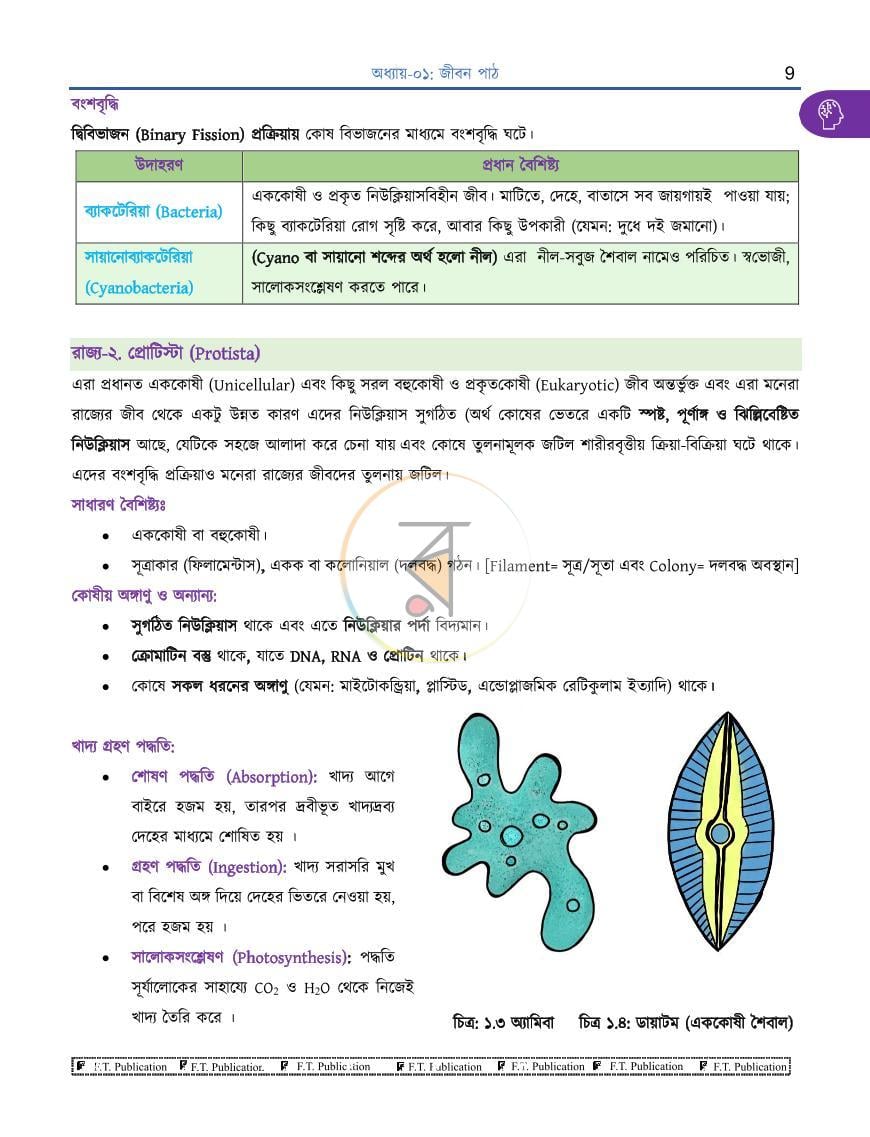 পাতা 9