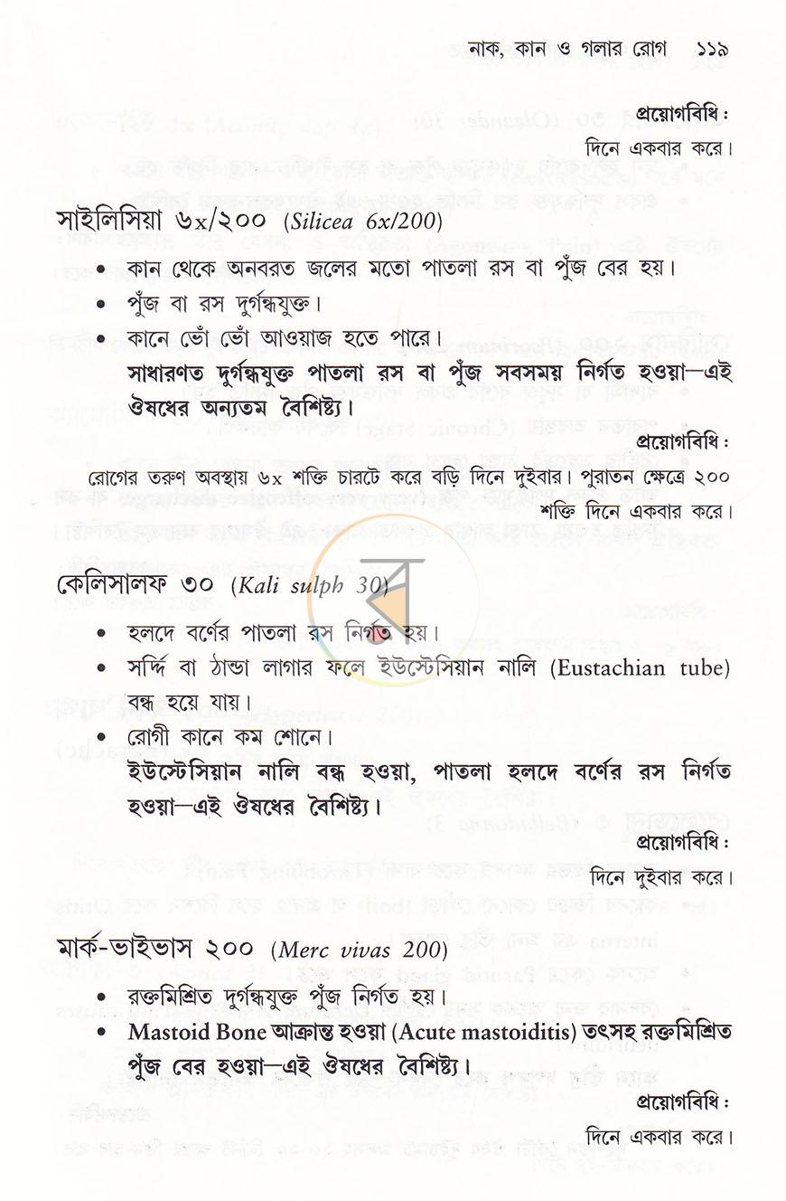 পাতা 13