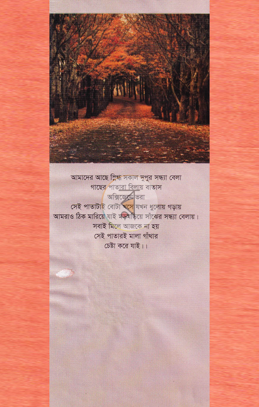 পাতা 10