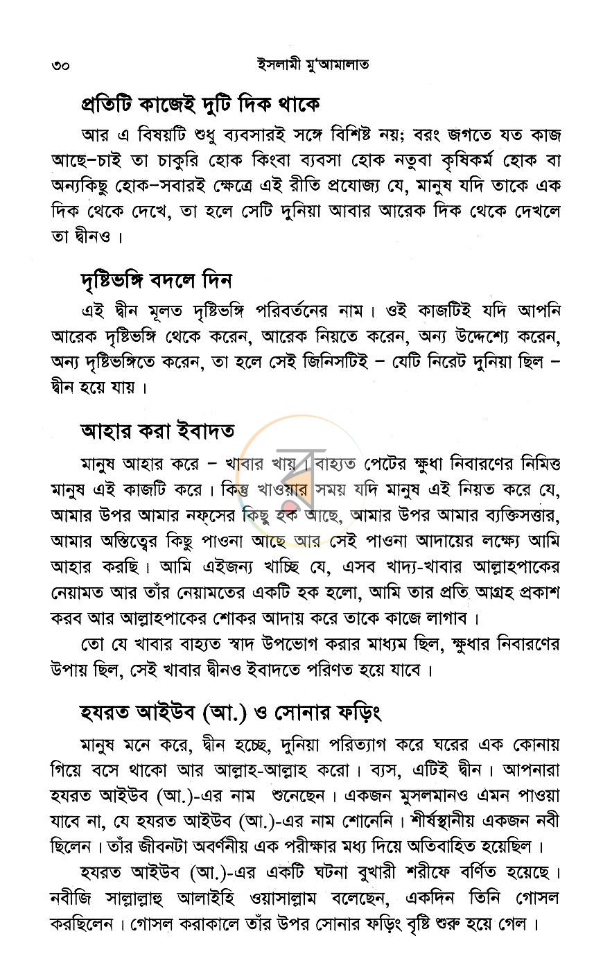 পাতা 11
