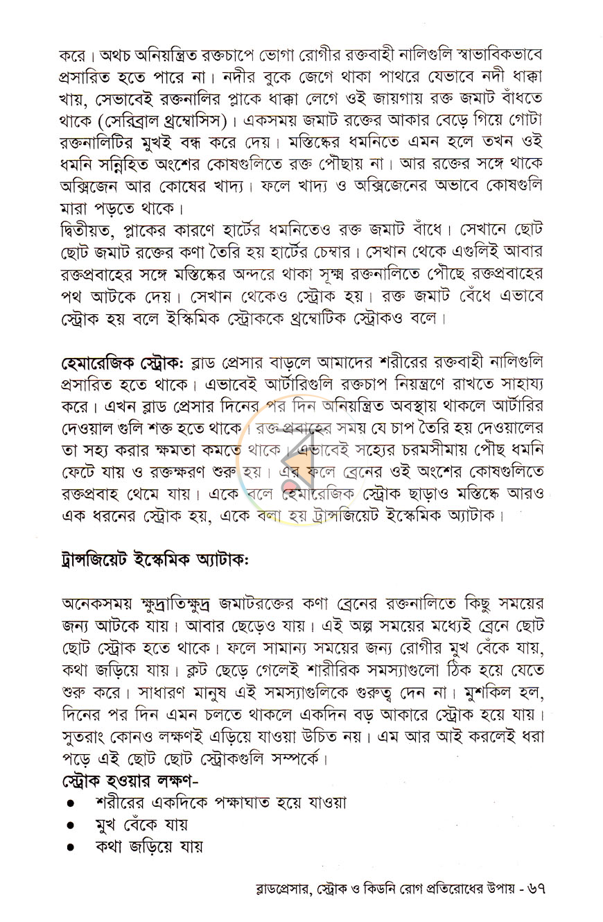 পাতা 10