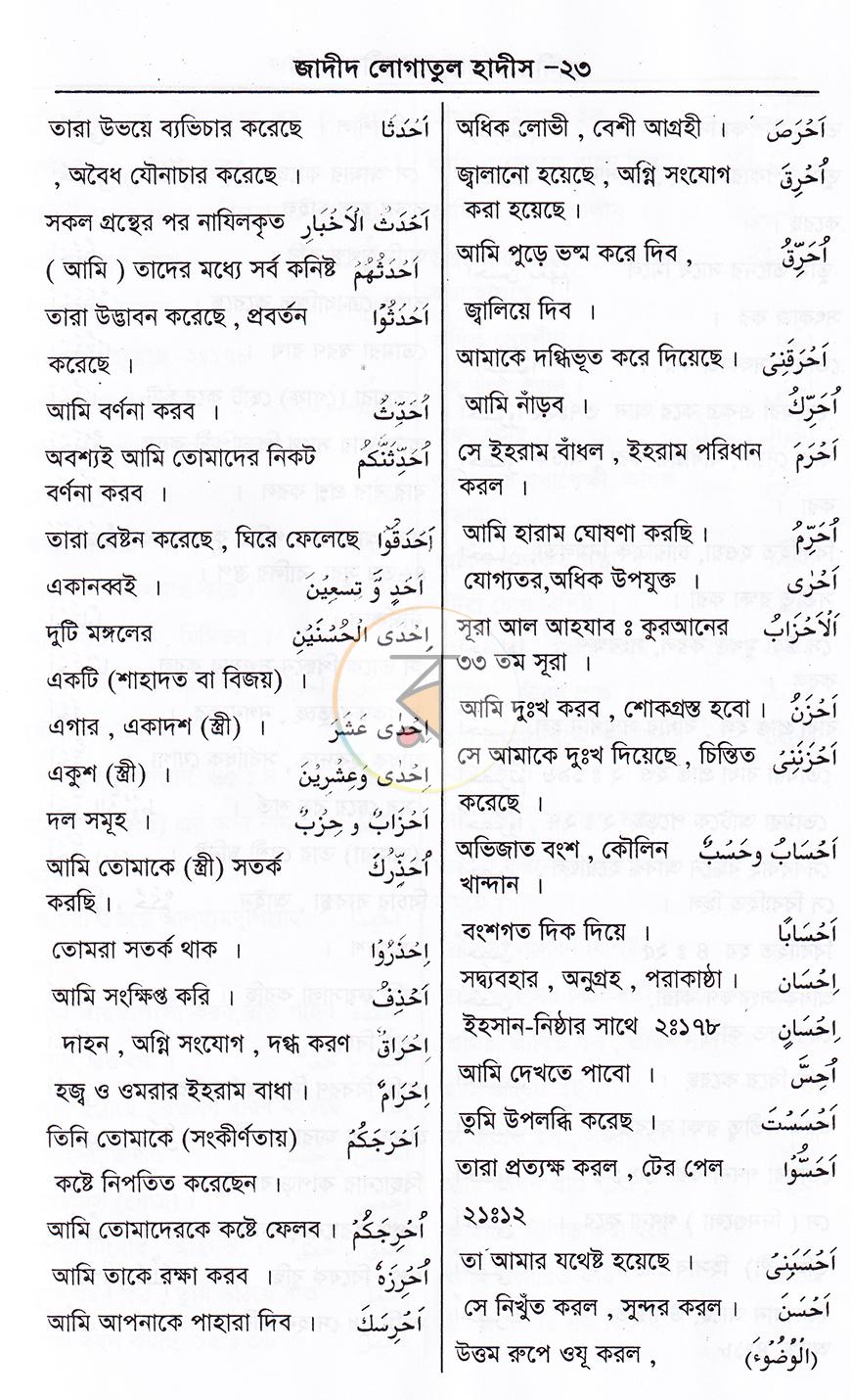 পাতা 10