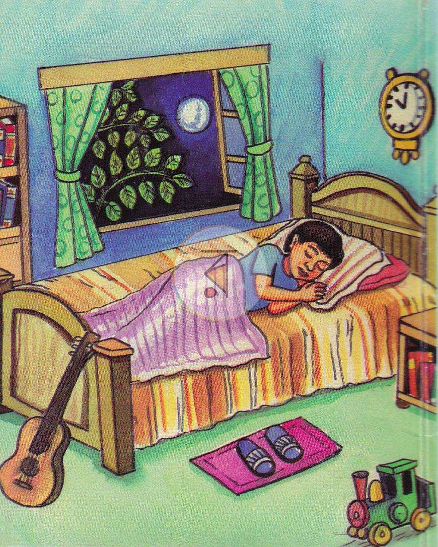 পাতা 1