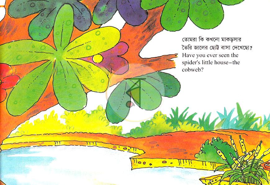 পাতা 4