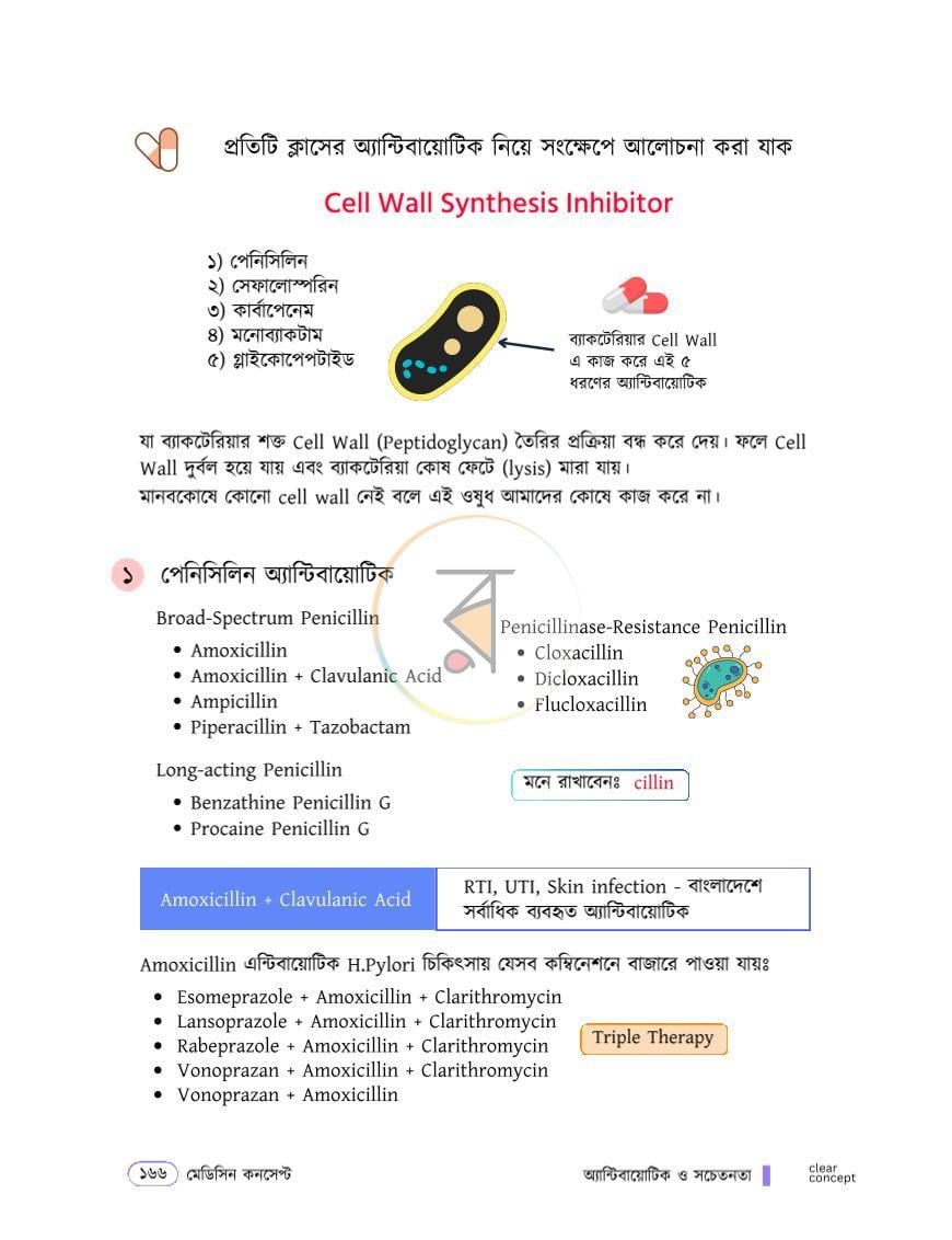 পাতা 15