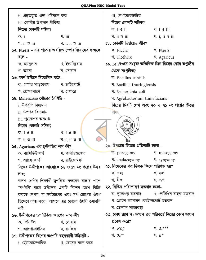 পাতা 11