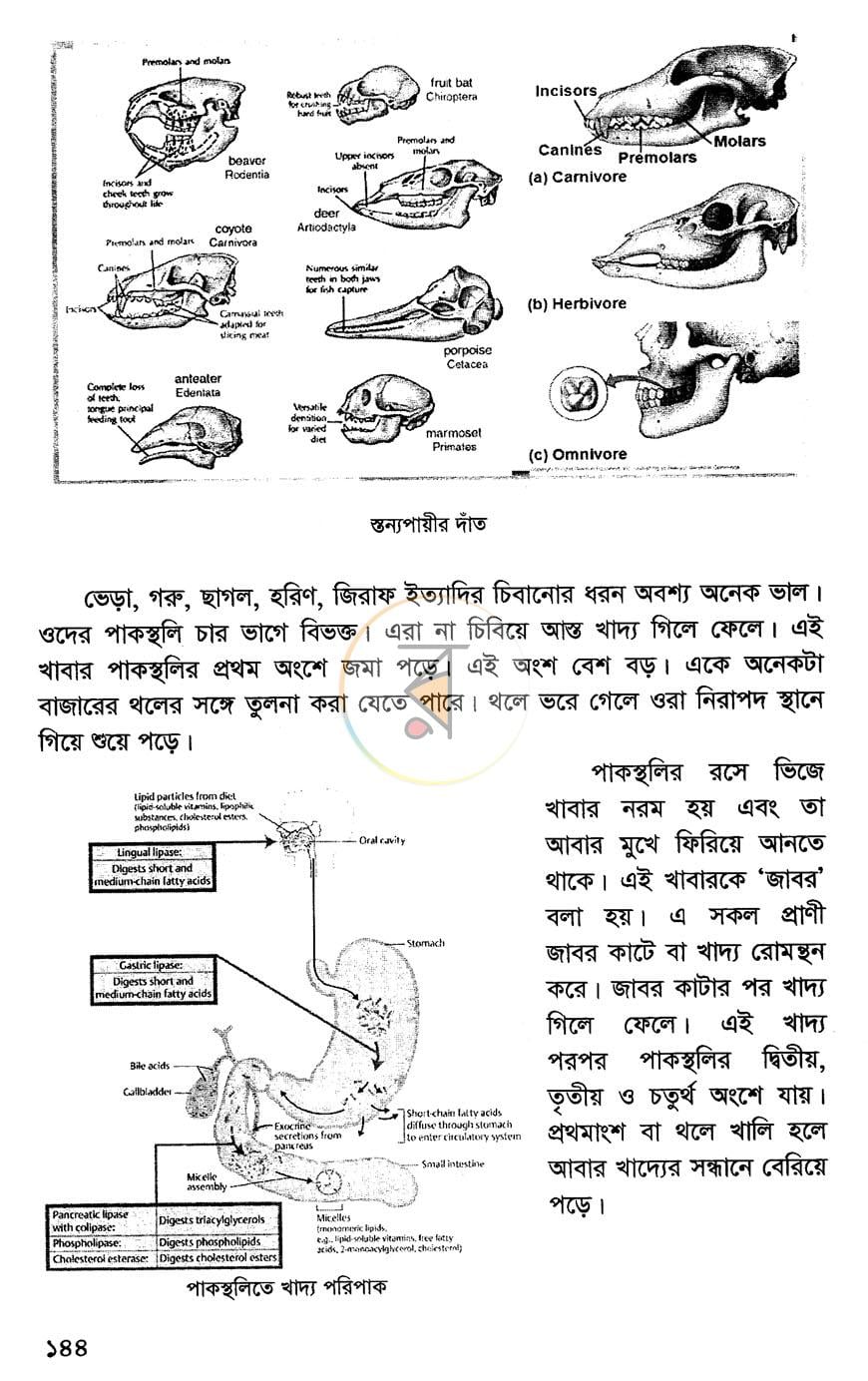 পাতা 15