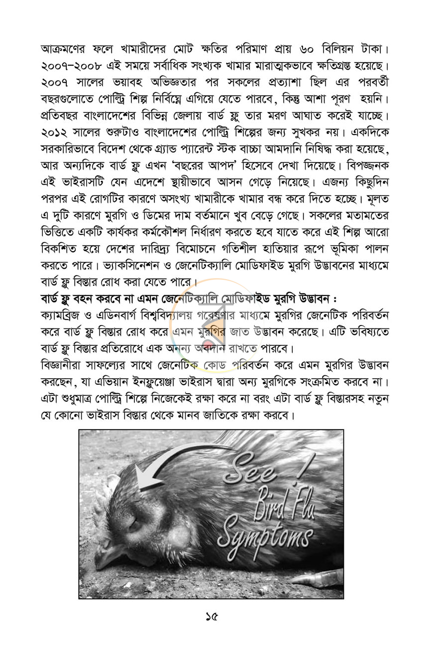 পাতা 11