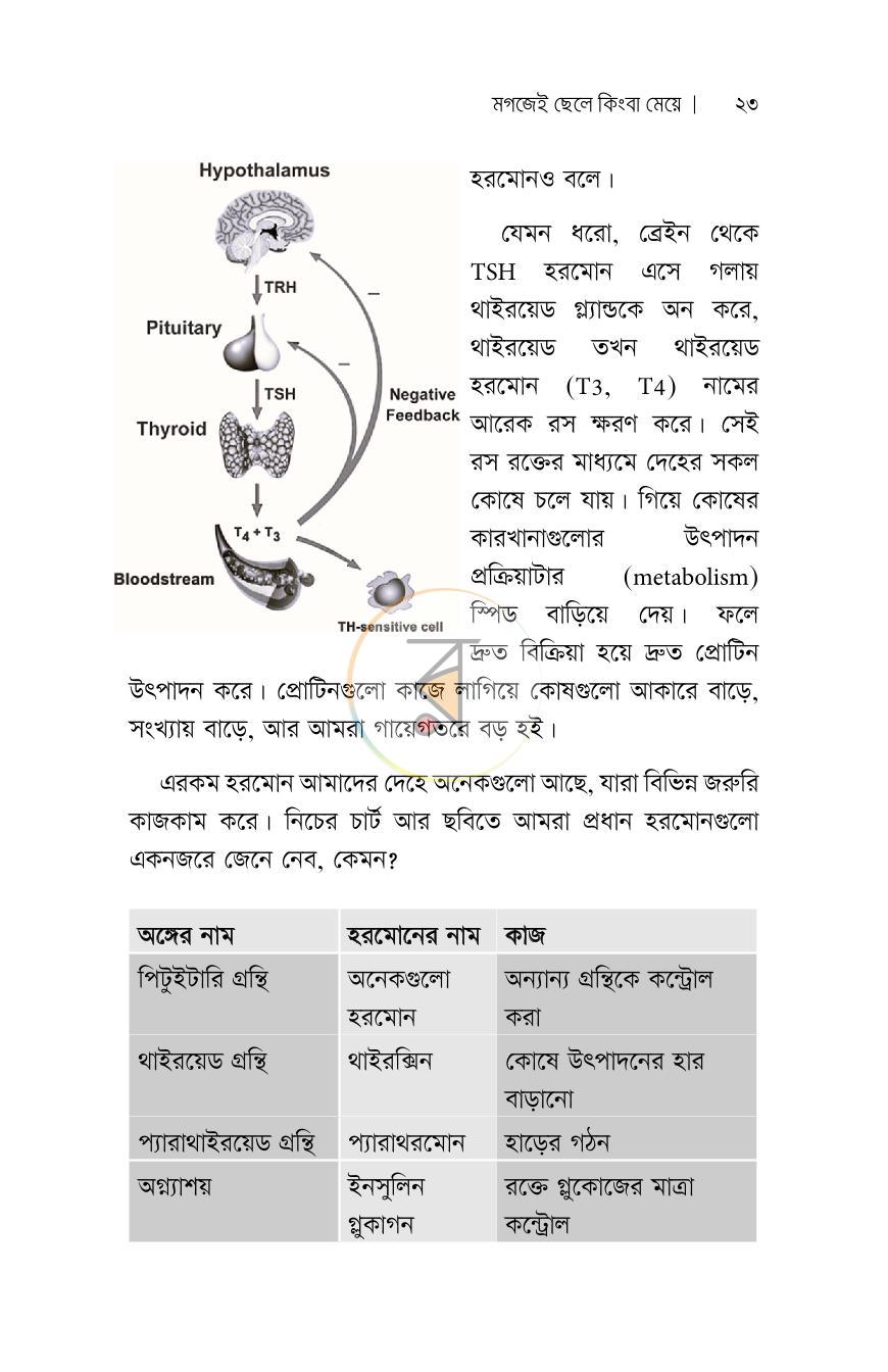 পাতা 10